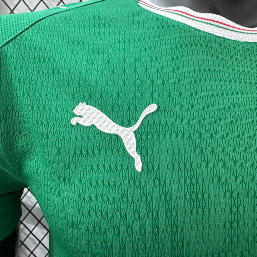 2026/2027 Player Version Palmeiras Home Football Jersey 1:1 Thai Quality topjersey