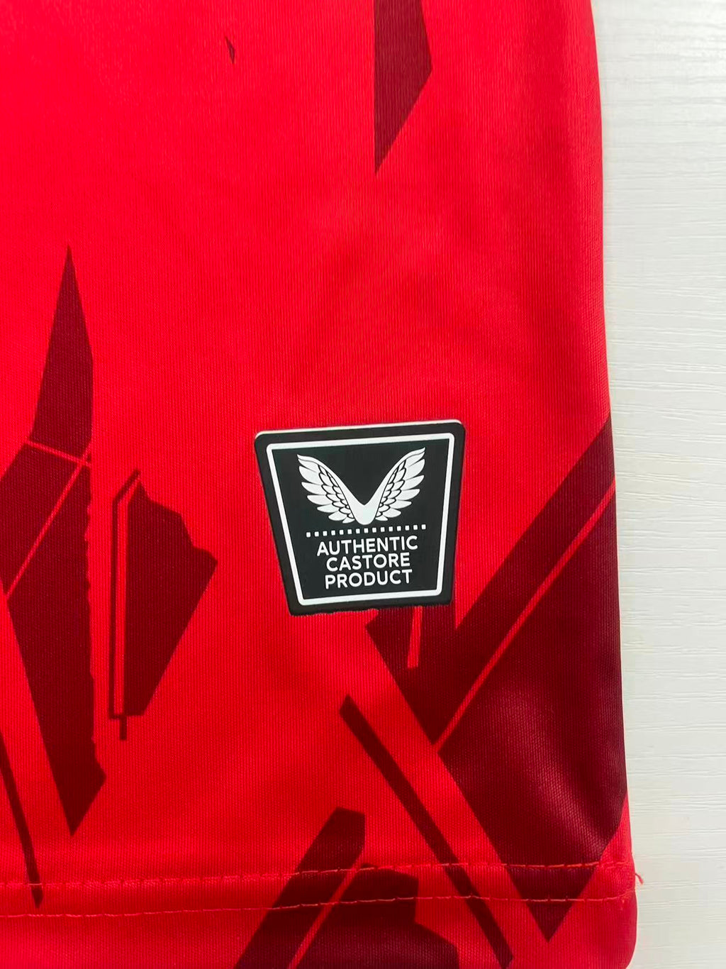 2025/2026 FC Kaiserslautern Home