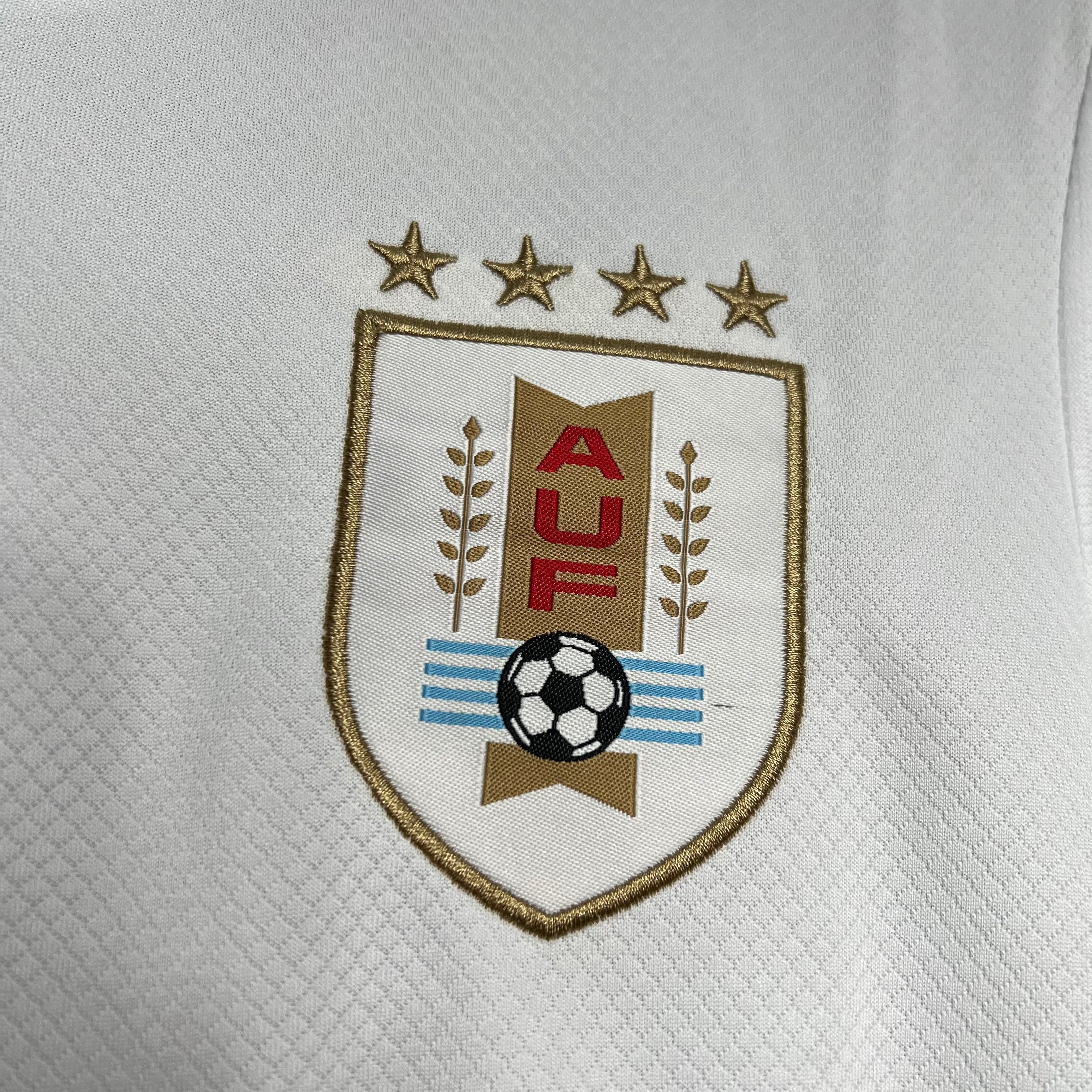 2024-2025 Uruguay National Team Away