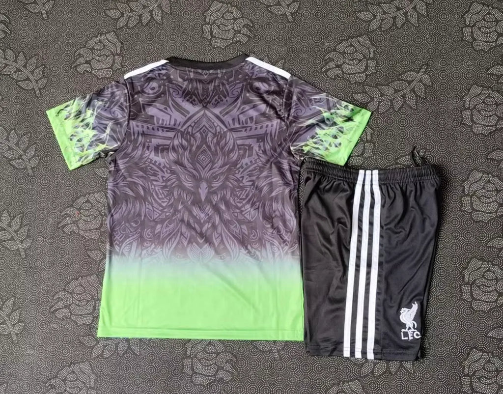 2025/2026 Liverpool Special Edition Gray and Green