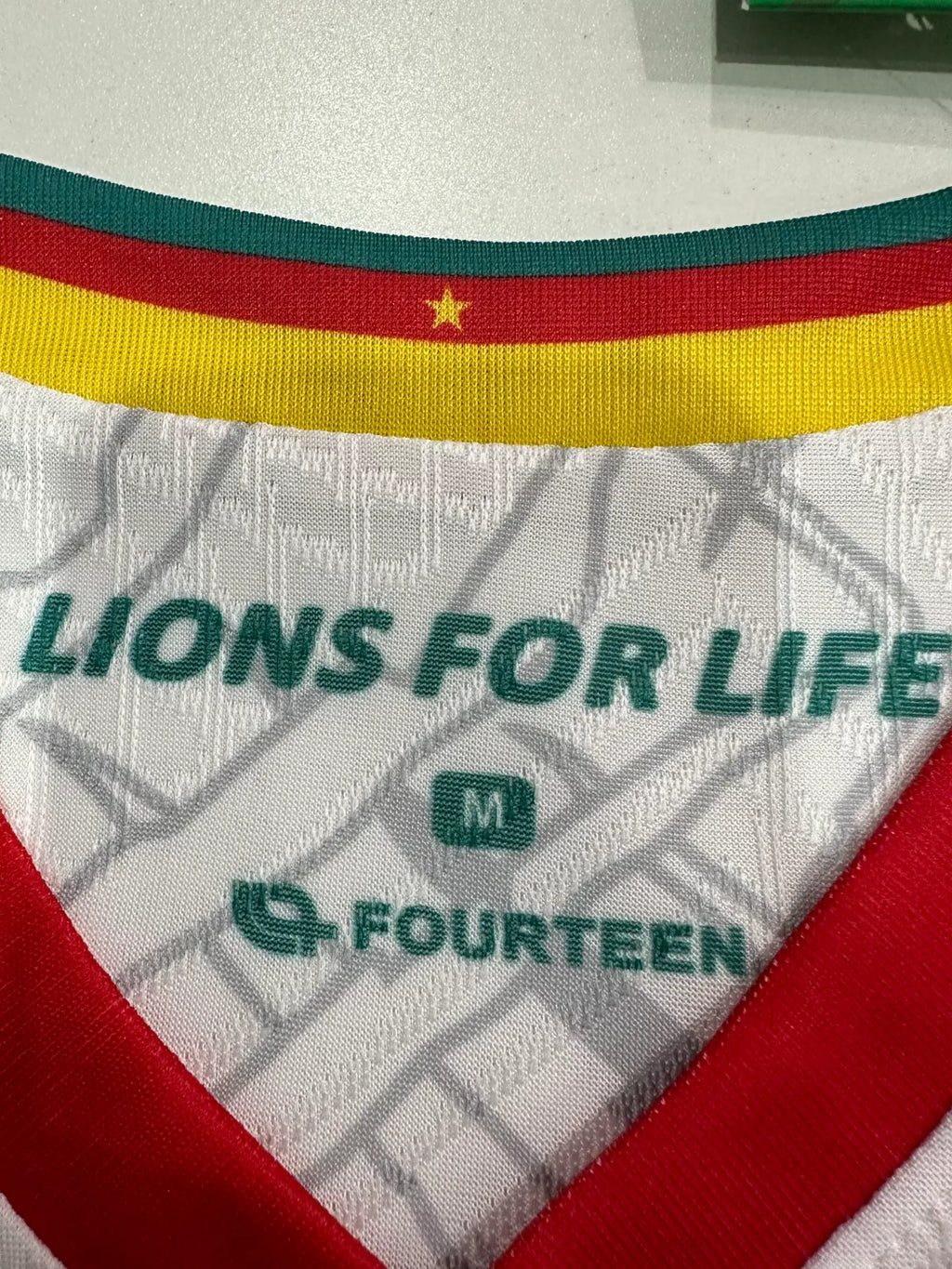 2025/2026 Player Version Cameroon Third Away