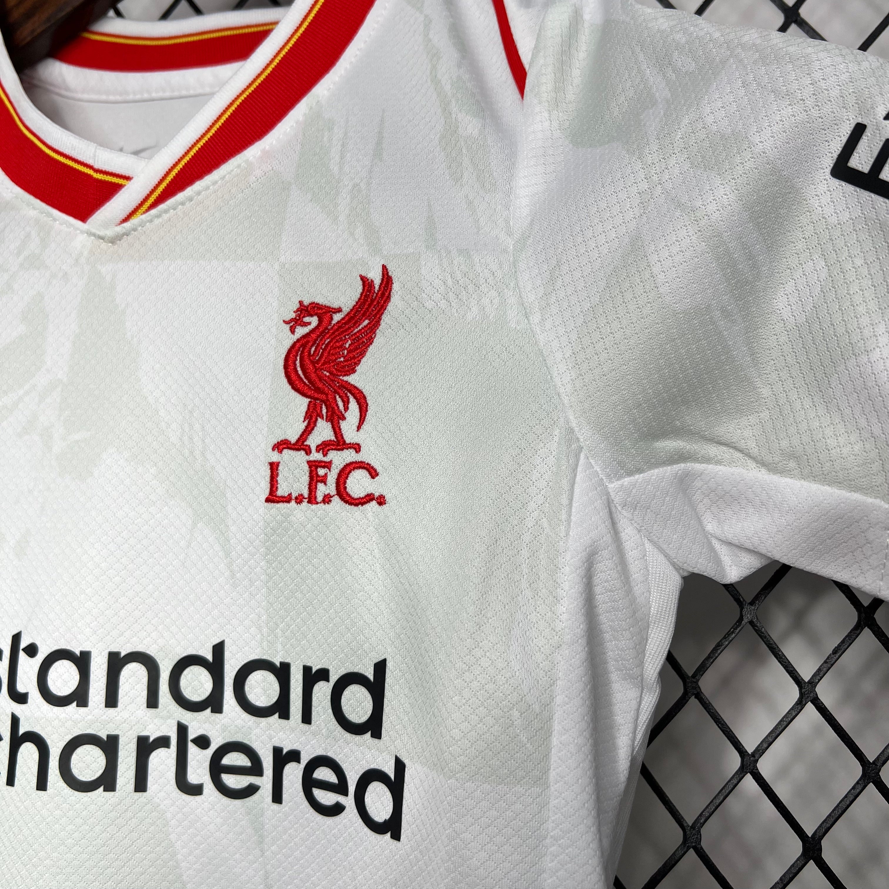 2024/2025 Liverpool Third Away