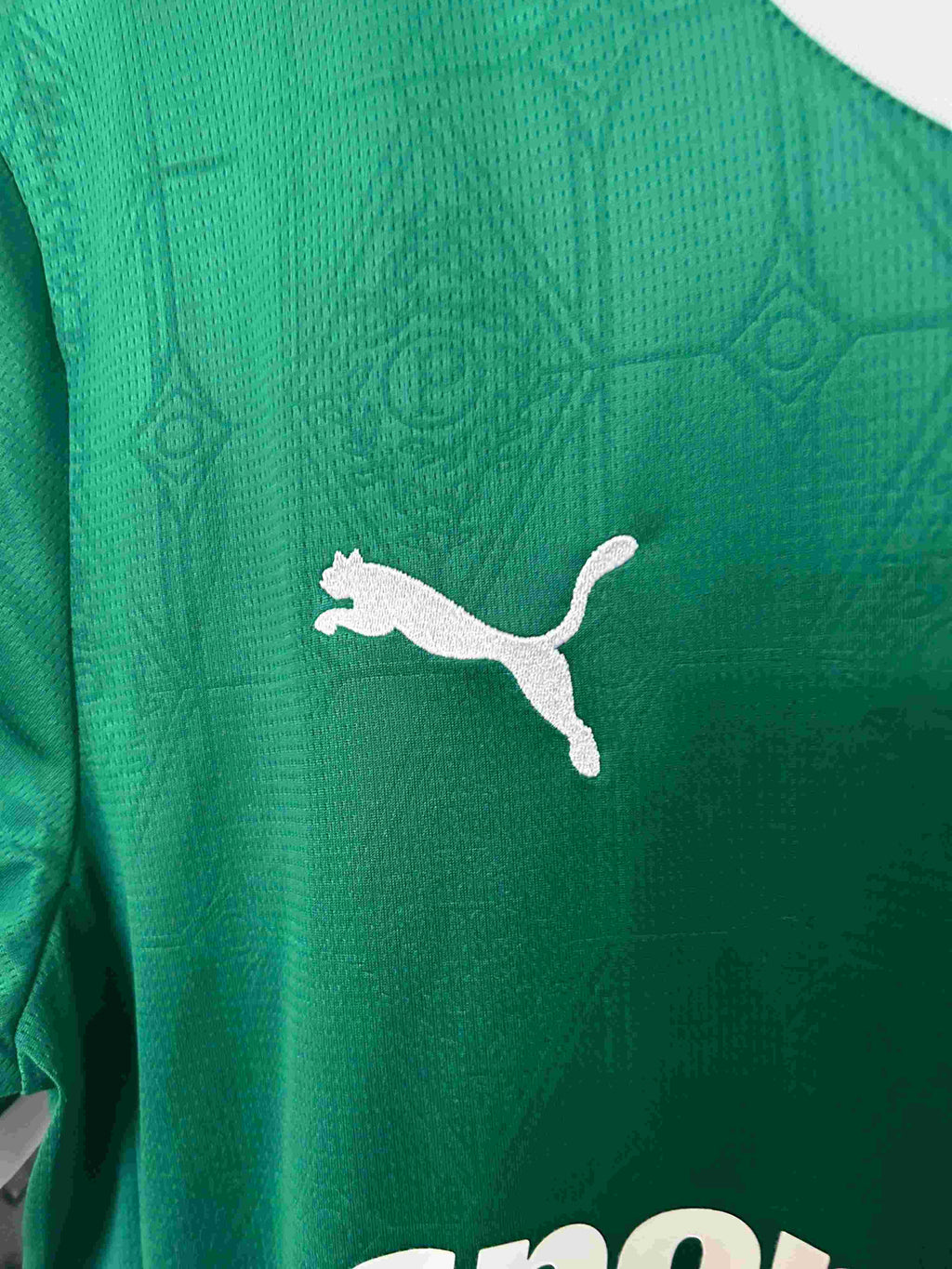 2025/2026 Palmeiras Home