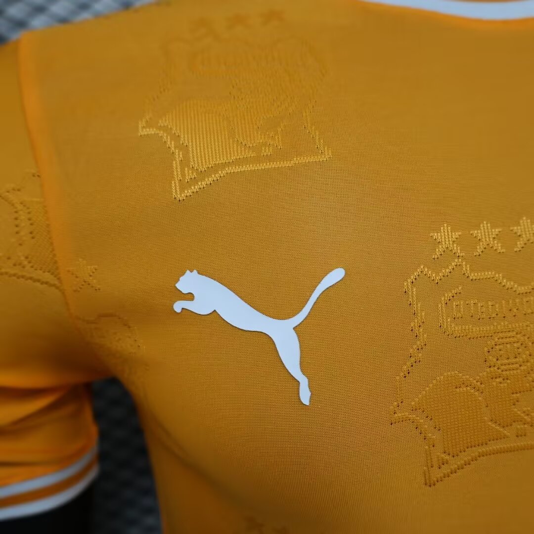 2024 Player Version Côte d'Ivoire Special Edition Orange