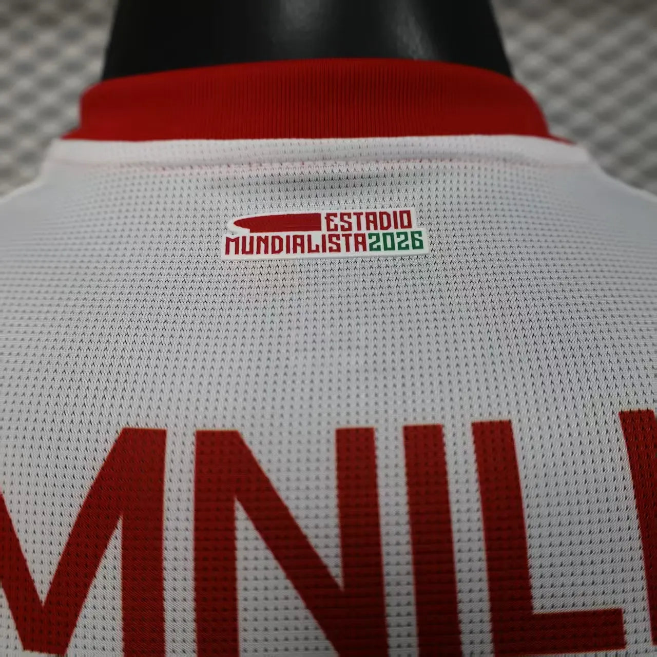 2025/2026 Player Version Chivas Away