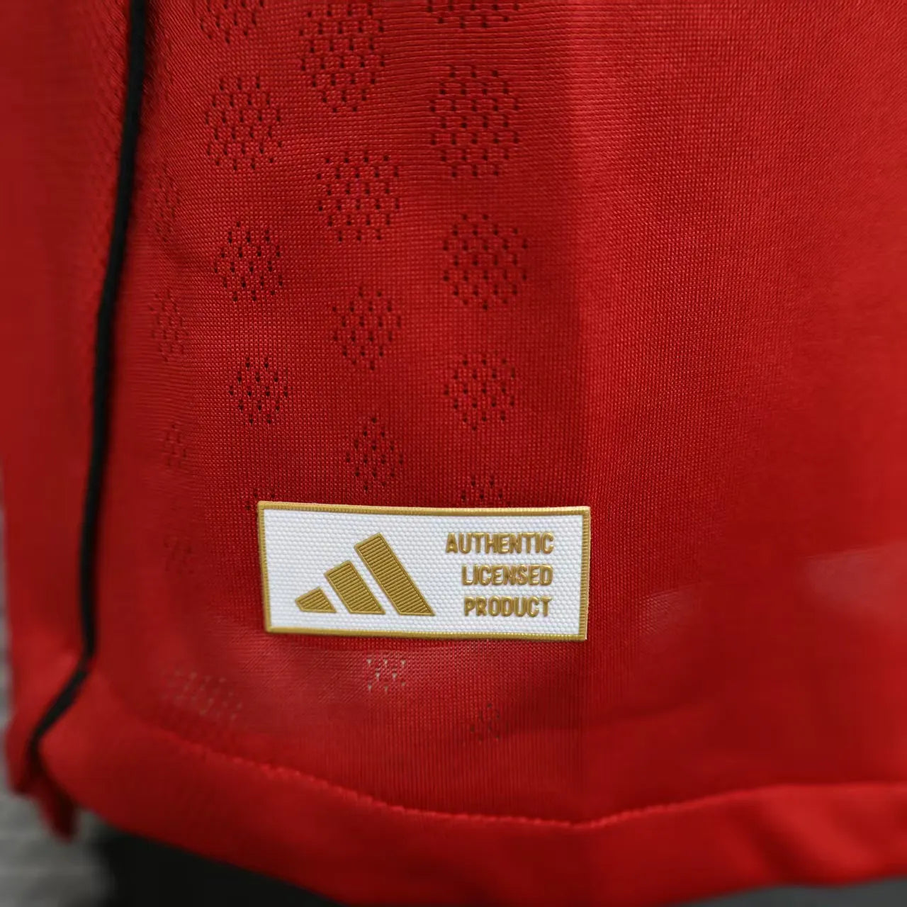 2025/2026 Long Sleeve Player Version Manchester United Home