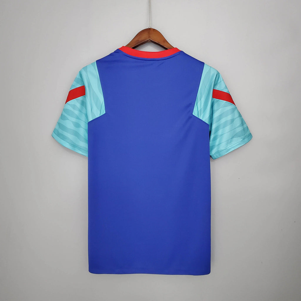2021/2022 Barcelona Jersey Training Wear Blue And Green