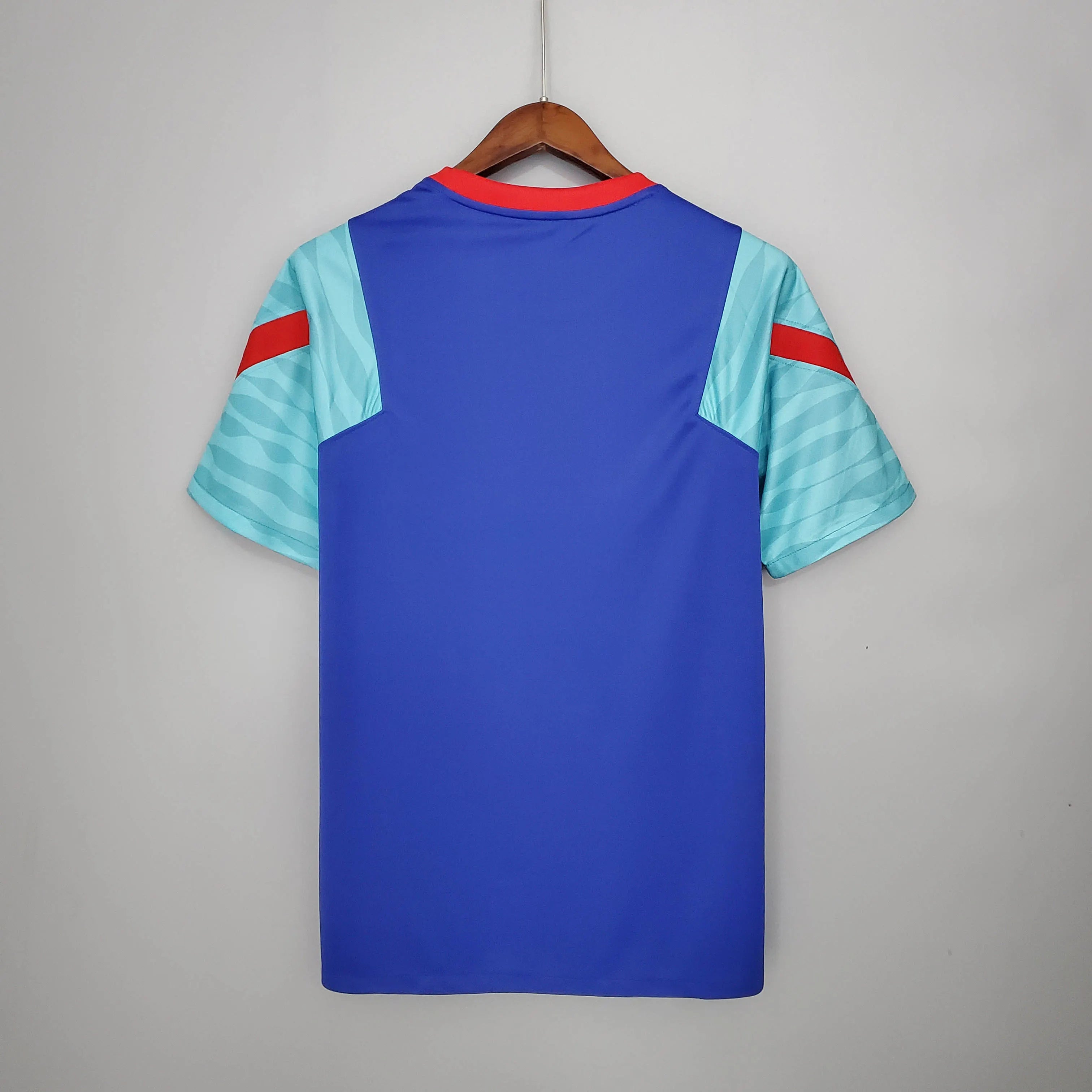 2021/2022 Barcelona Jersey Training Wear Blue And Green