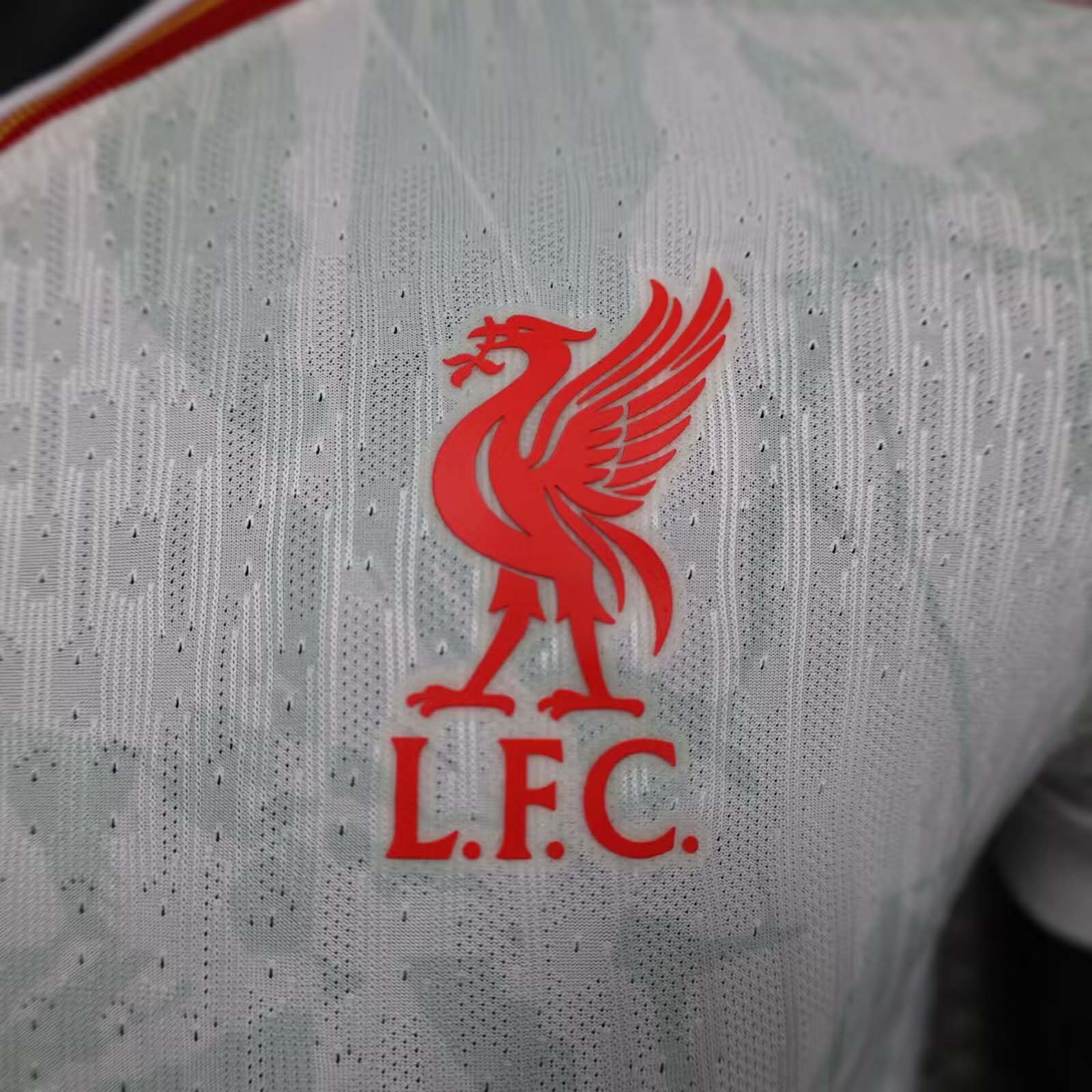 2024/2025 Player Version Liverpool Third Away