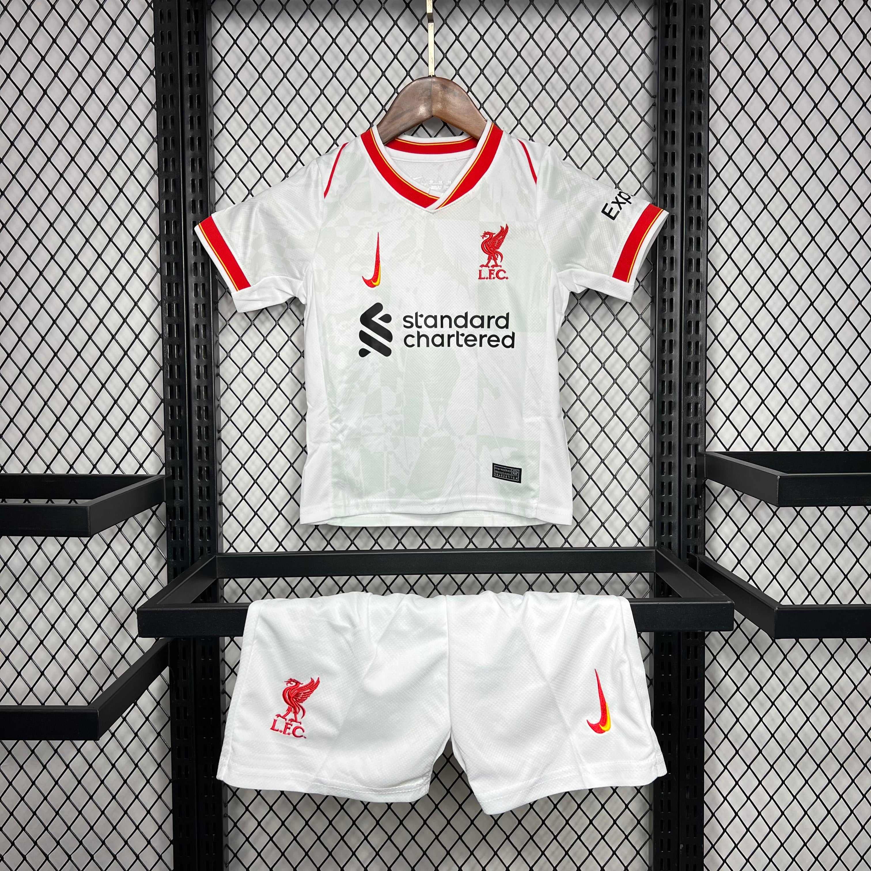 2024/2025 Liverpool Third Away