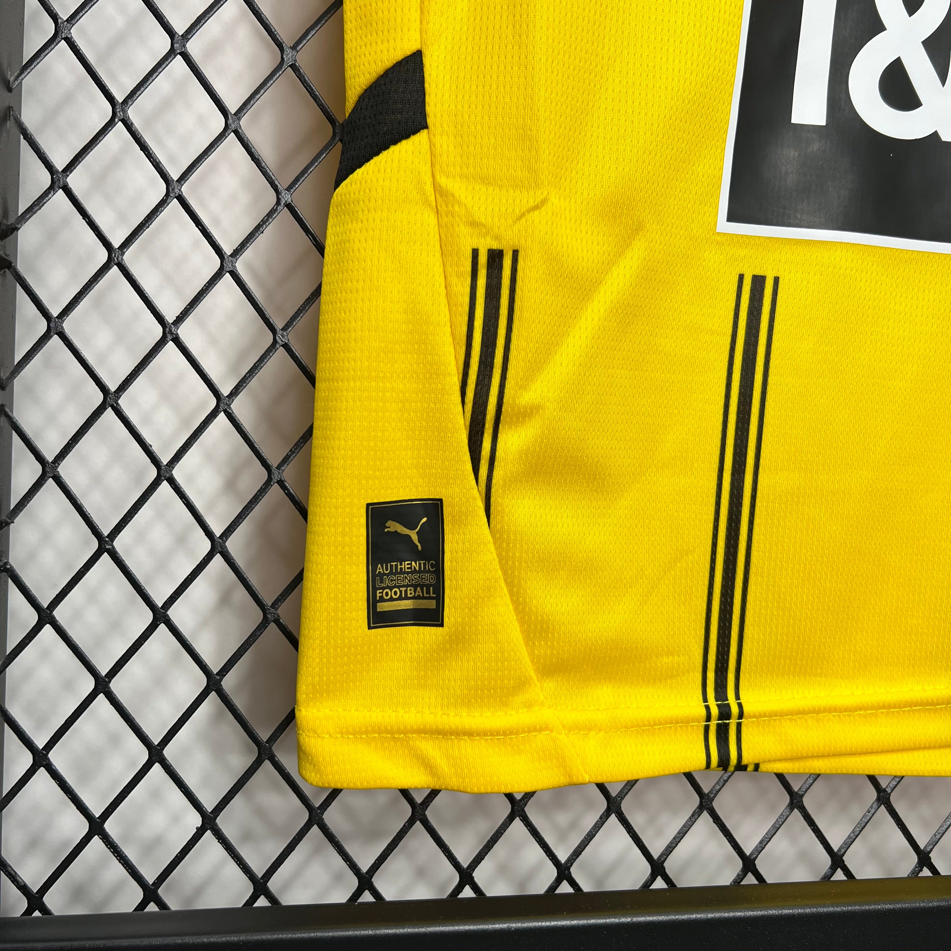 2024/2025 Dortmund Home