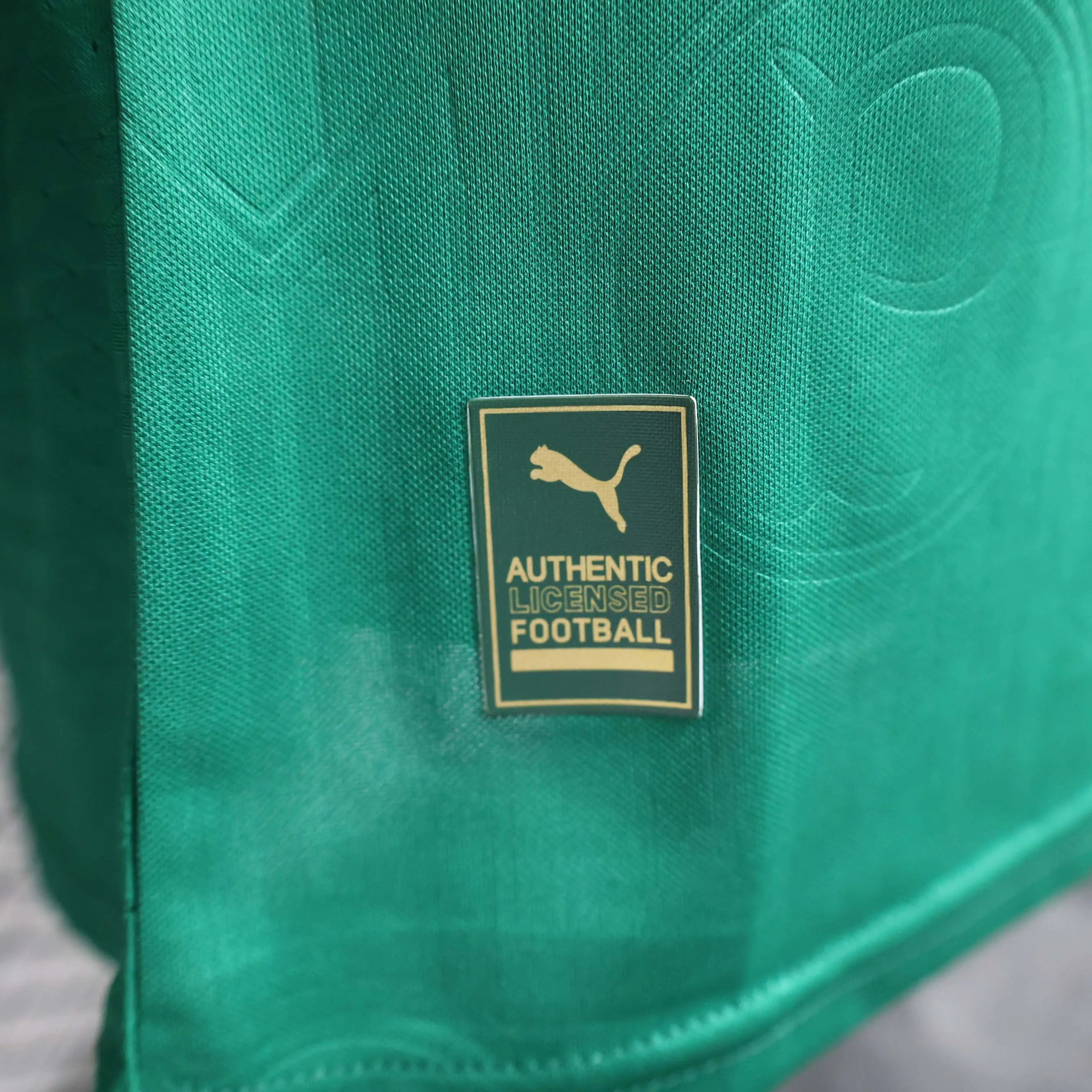 2024/2025 Player Version Palmeiras Home Jersey