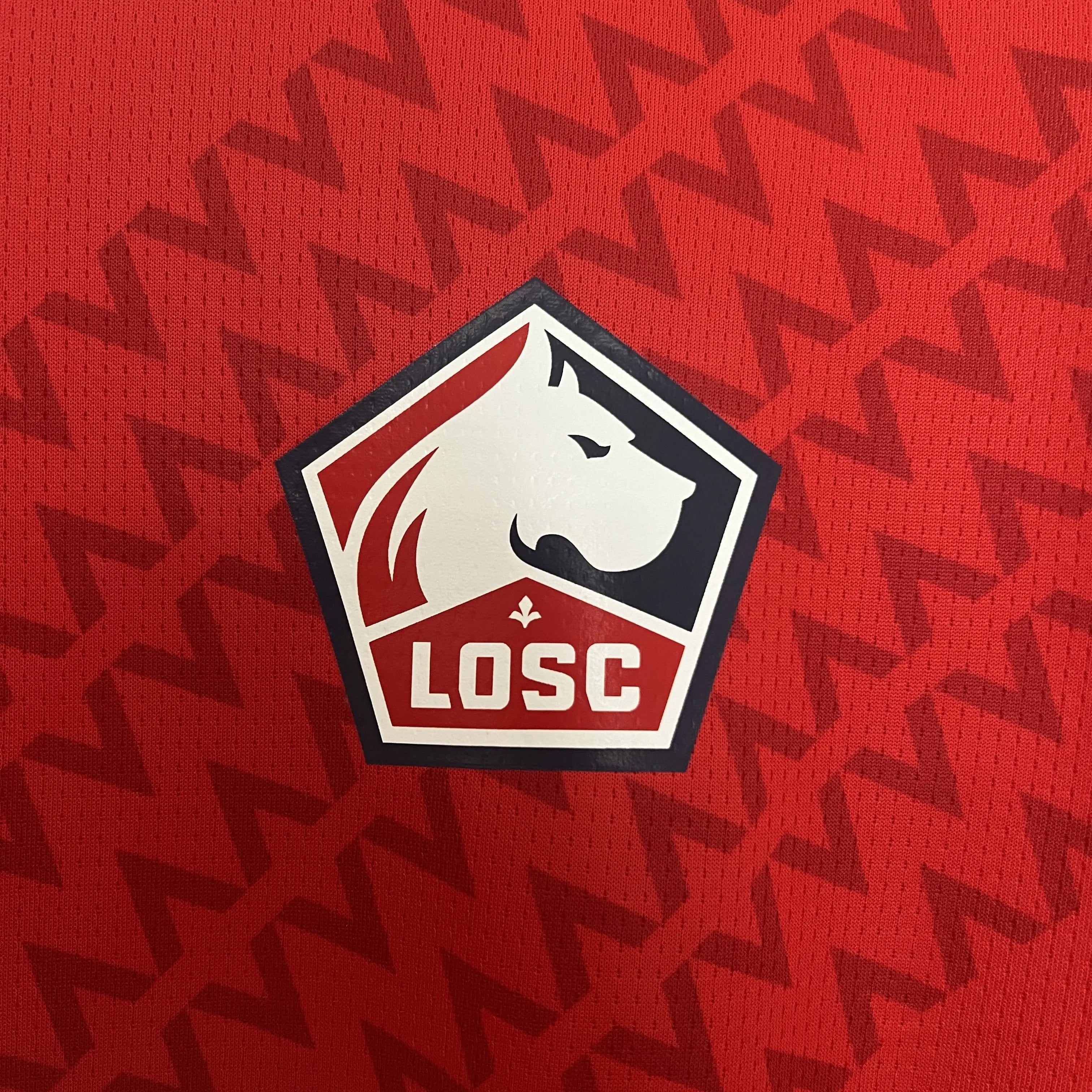 2024/2025 Lille Home