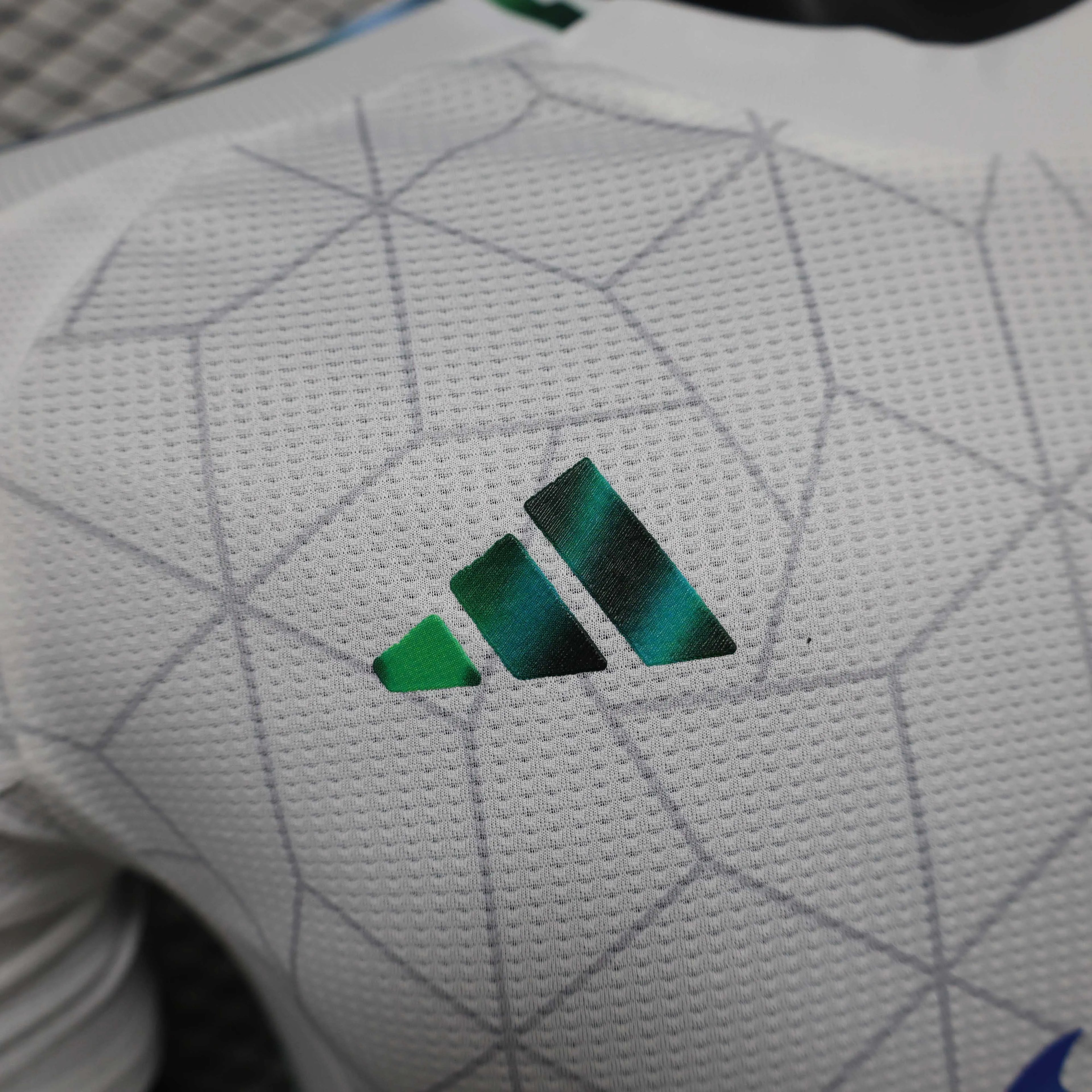 2025/2026 Player Version Algeria National Team Special Edition