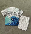 2025/2026 Brazil Special Edition White Blue Bird