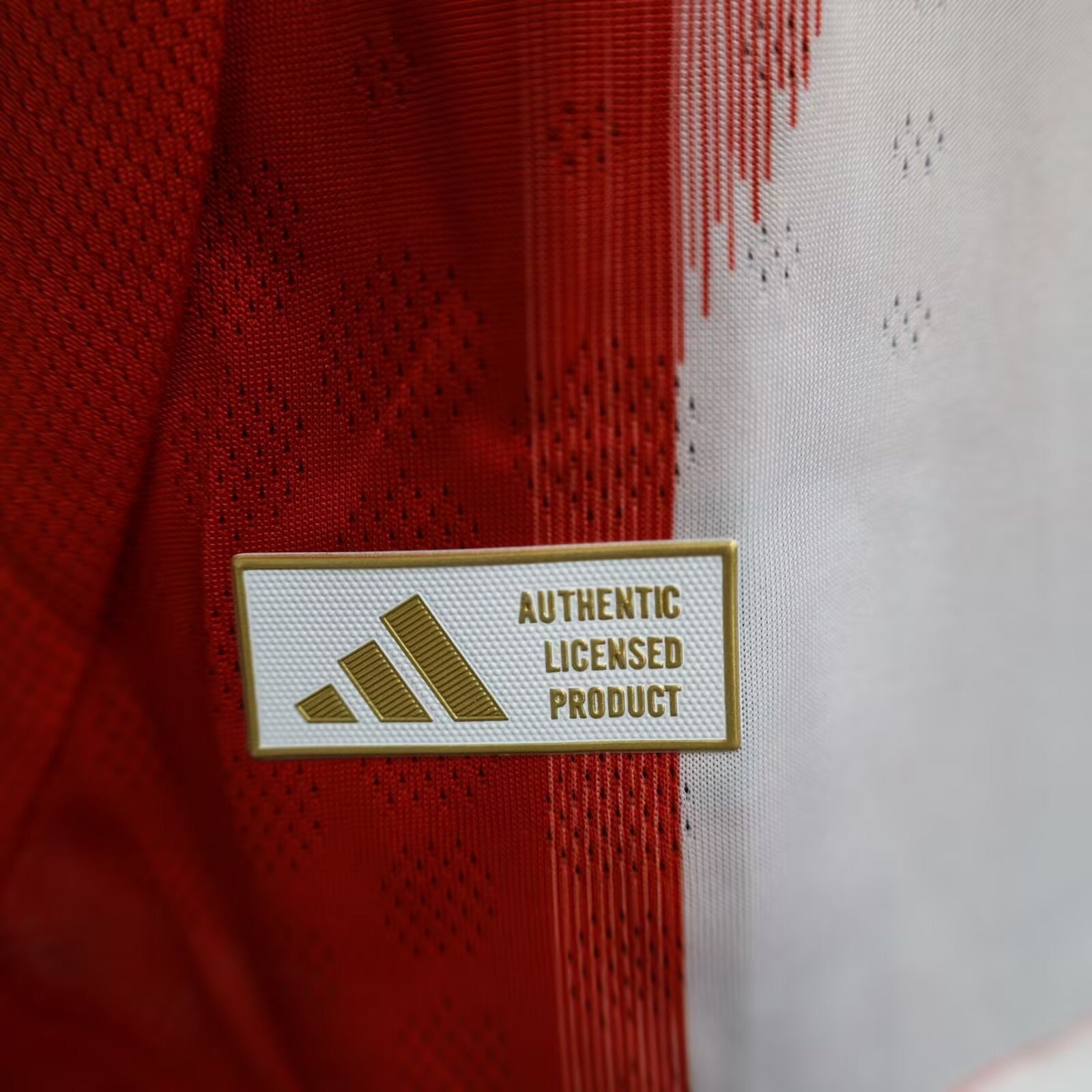 2025/2026 Player Version Bayern Munich Home