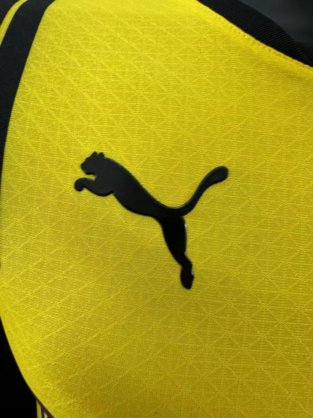 2024/2025 Player Version Dortmund Special Edition Jersey