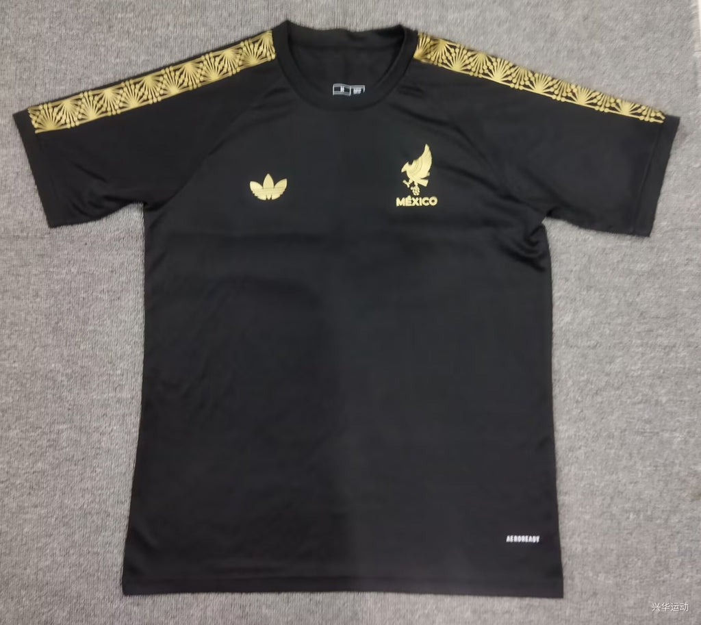 2025/2026 Mexico Training clothes