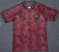 2024/2025 Denmark National Team Special Edition