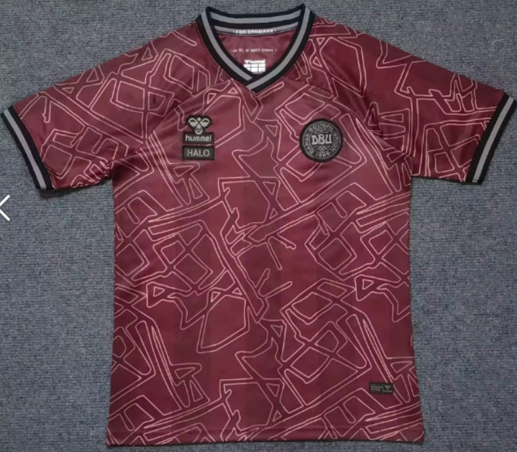 2024/2025 Denmark National Team Special Edition