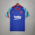 2021/2022 Barcelona Jersey Training Wear Blue And Green