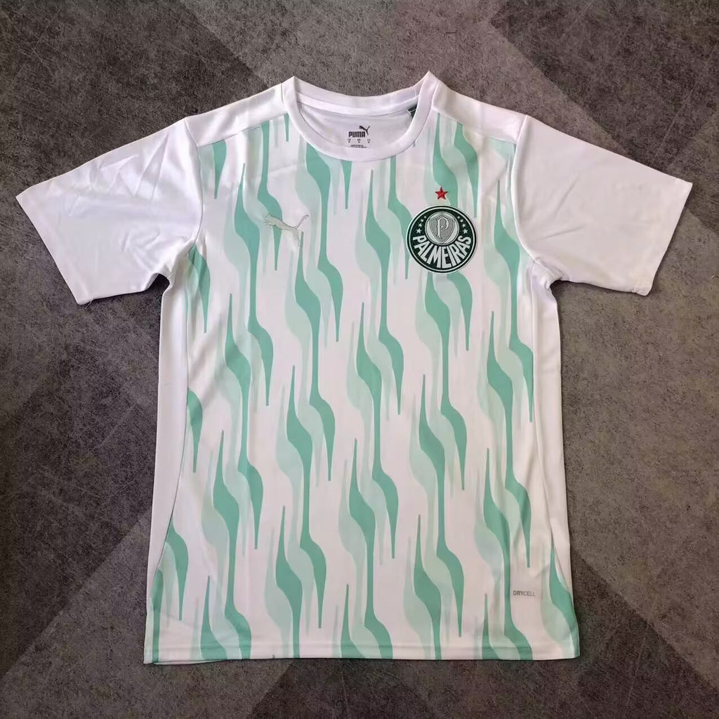 2025/2026 Palmeiras Training clothes