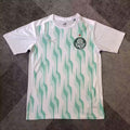 2025/2026 Palmeiras Training clothes
