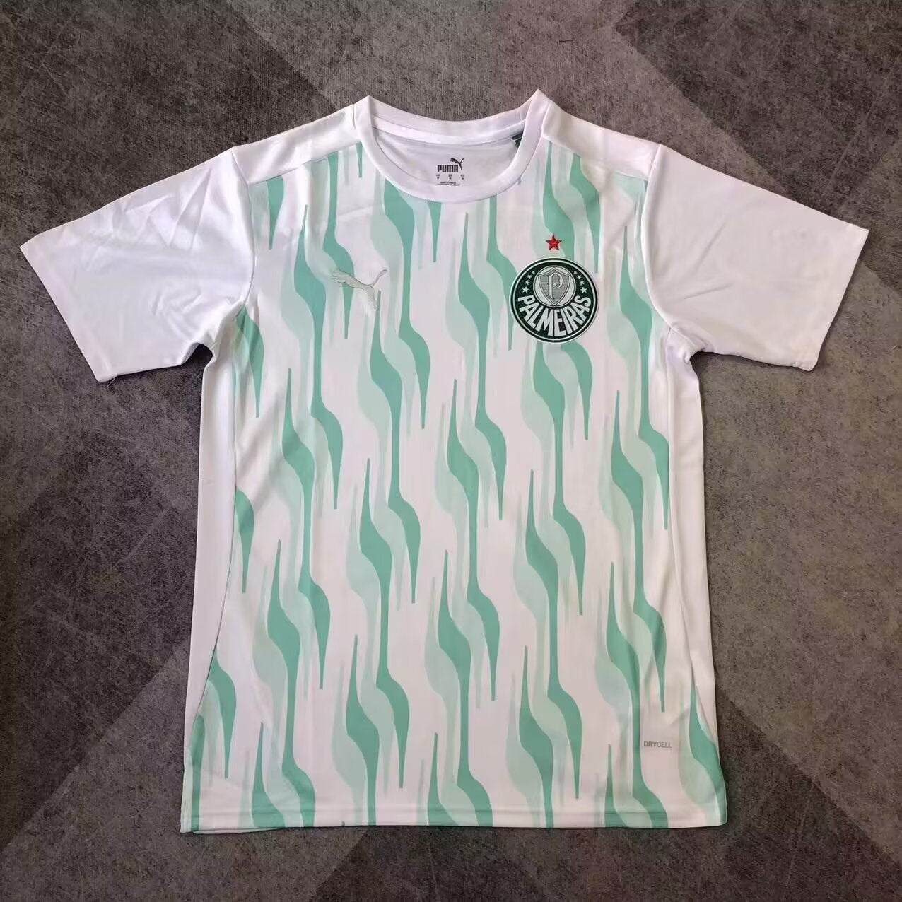 2025/2026 Palmeiras Training clothes