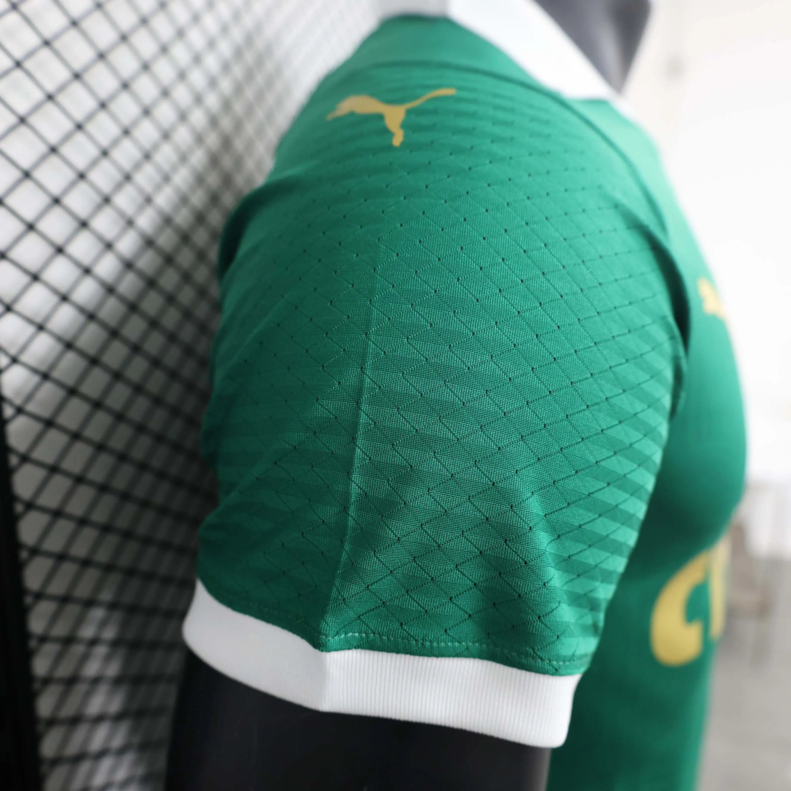 2024/2025 Player Version Palmeiras Home Jersey