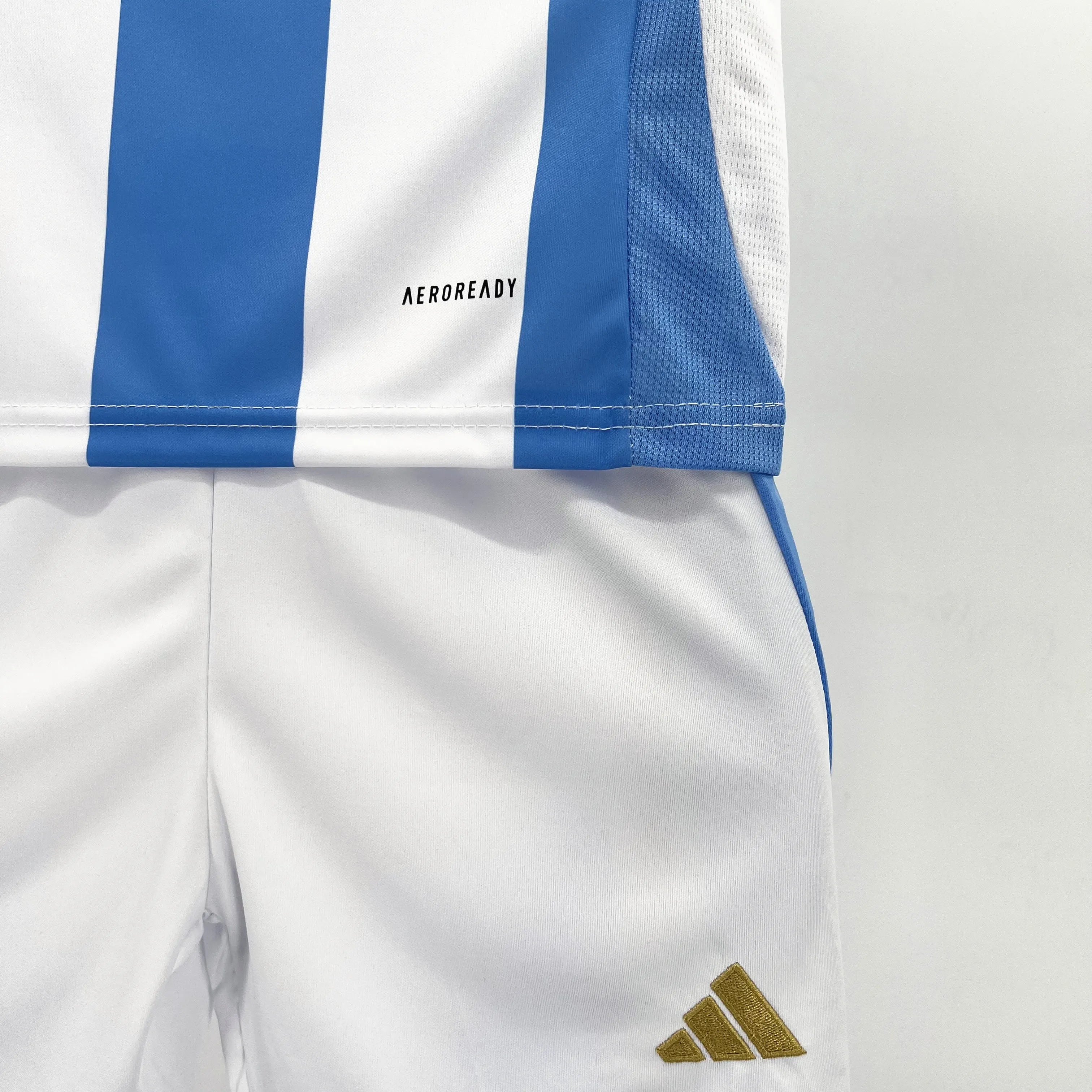 2024/2025 Argentina National Team Home