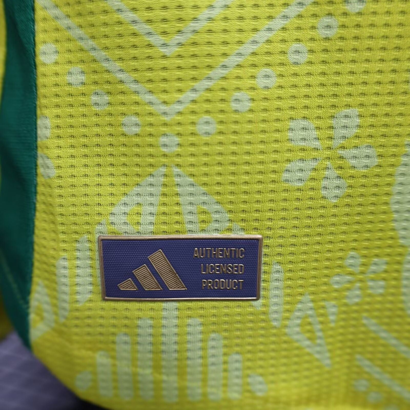 2025 Player Version Jamaica Home