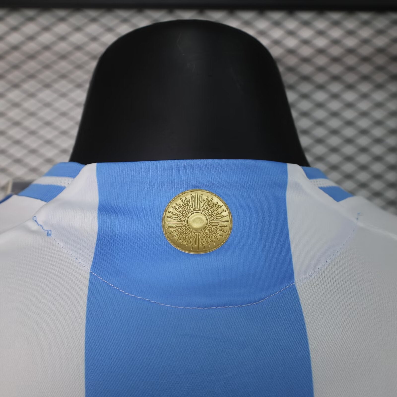 2024-2025 Player Version Argentina Home