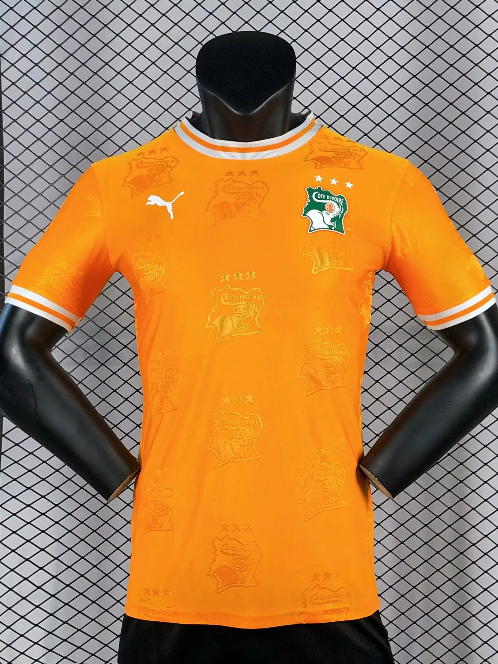 2025/2026 Player Version Lvory Coast National Team Home