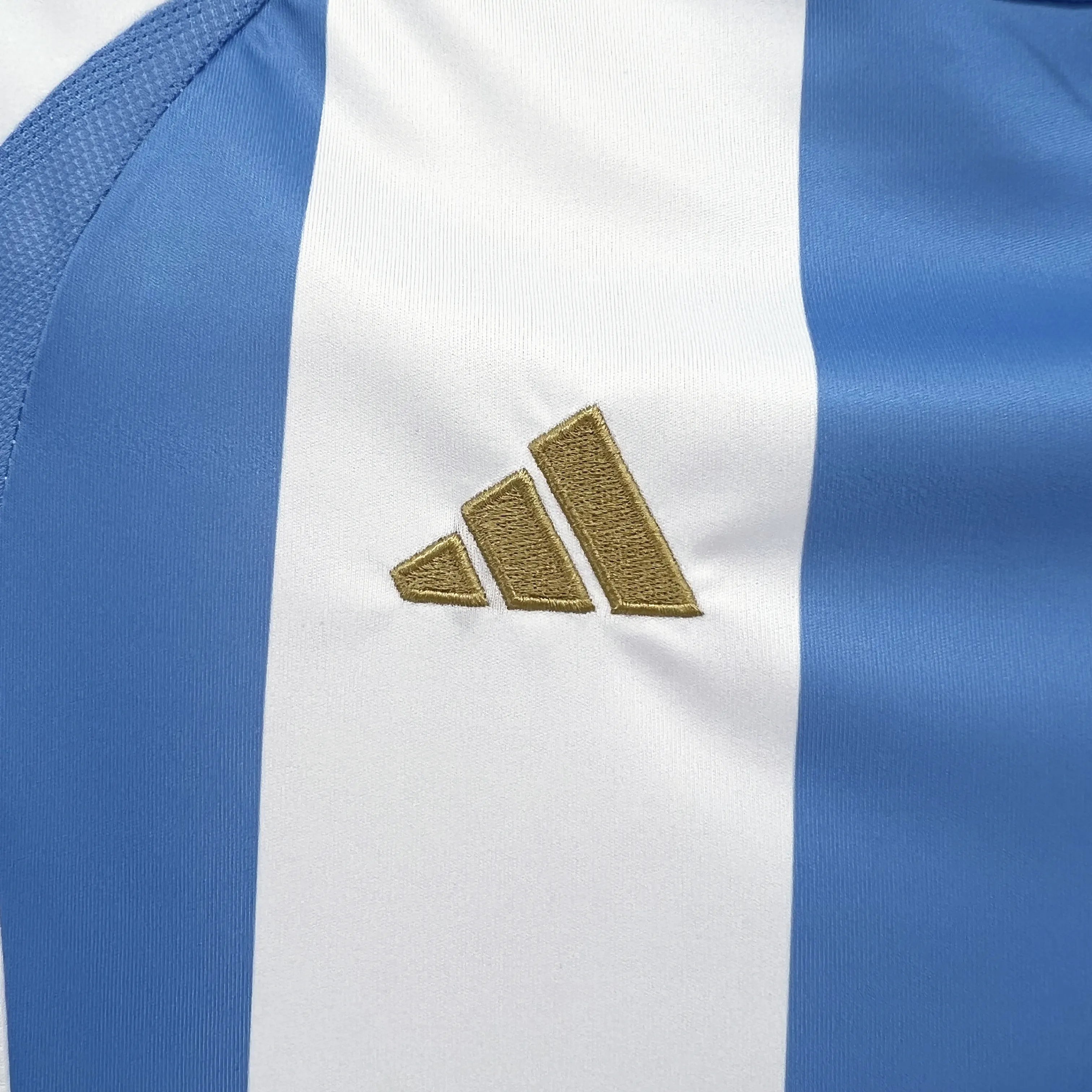 2024/2025 Argentina National Team Home