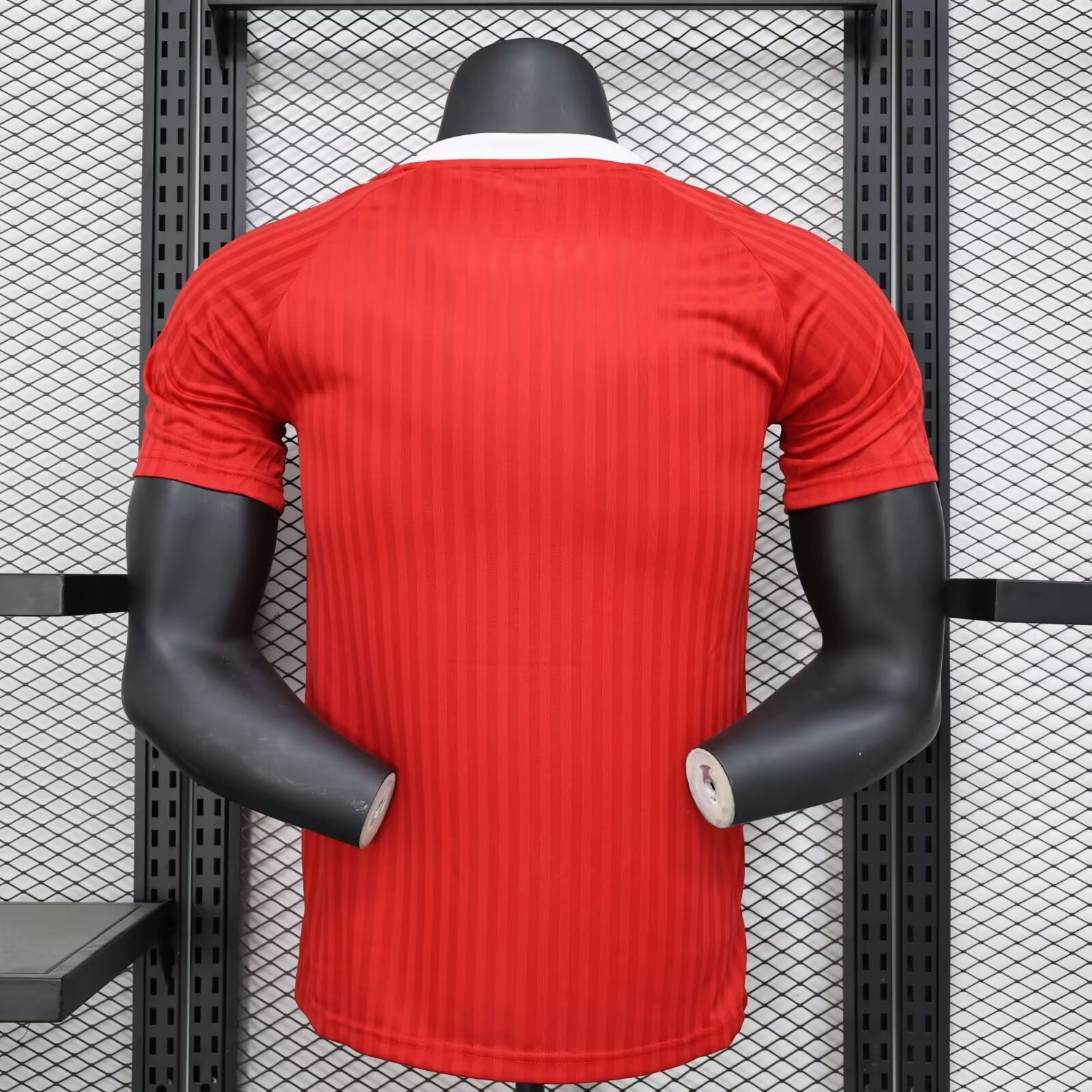 2024/2025 Player Version Manchester United Special Edition Red Soccer Shirt