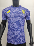 2025/2026 Player Version Tigers Training clothes