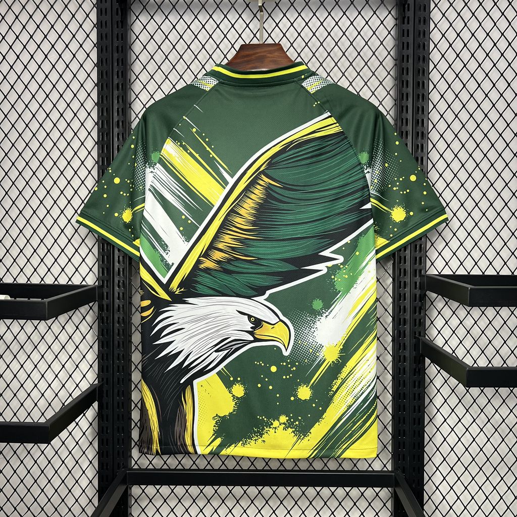 2024/2025 Brazil Special Eagle kit Jersey