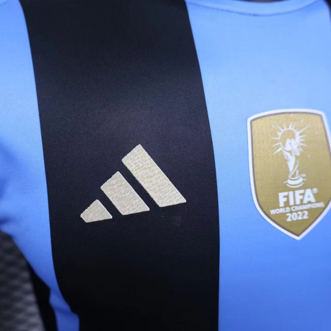 2024-2025 Argentina Dark version Jersey Player Version