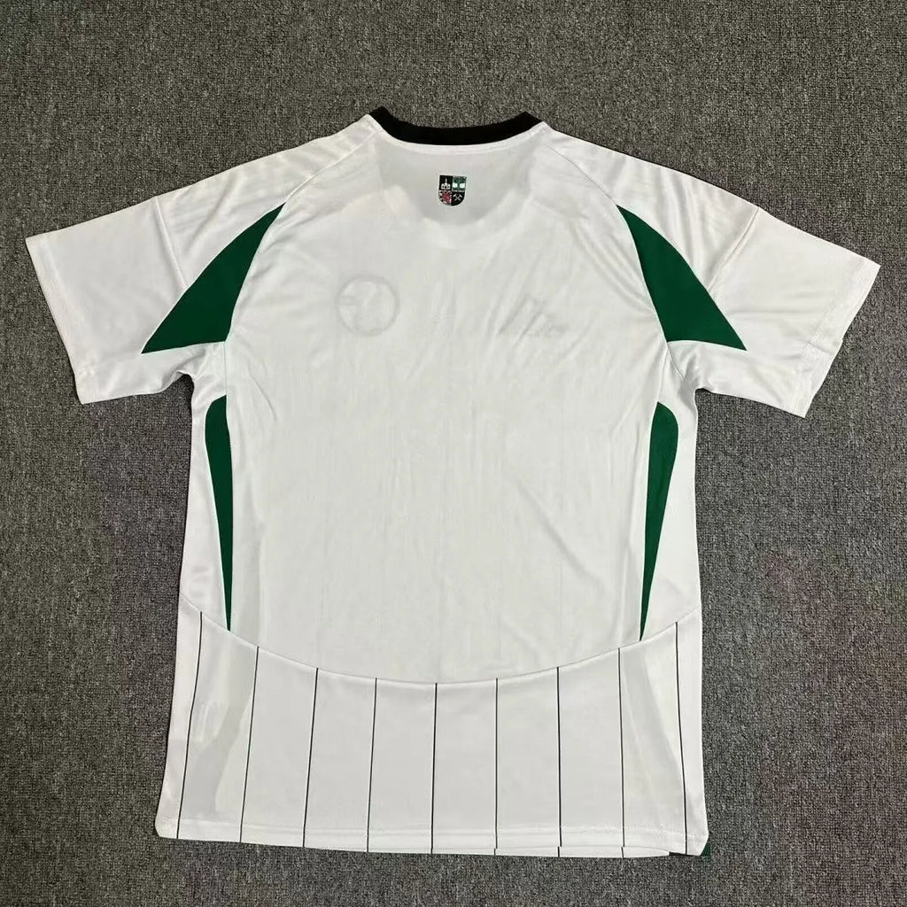 2024-2025 Schalke 04 Away