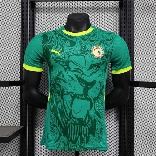 2025/2026 Player Version Senegal National Team Away