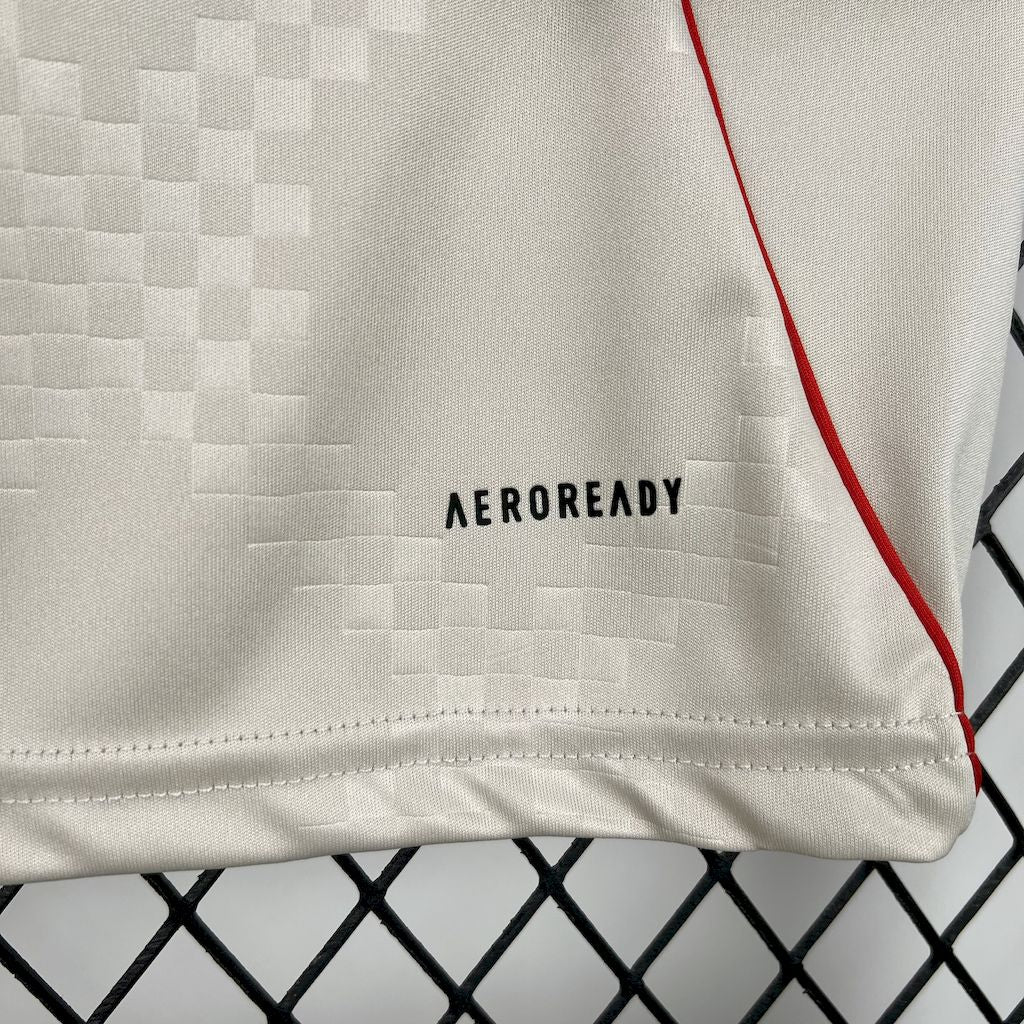 2025/2026 Benfica Away