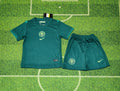 2025/2026 Nigeria National Team Away