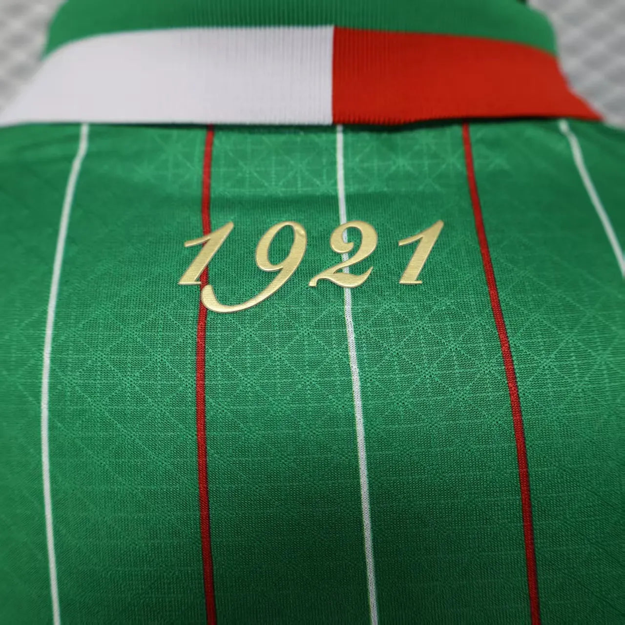 2025/2026 Player Version Palestine Special Edition Green
