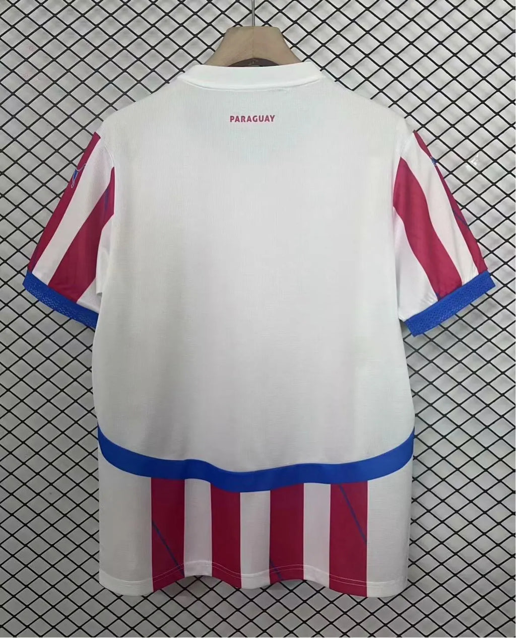 2025/2026 Paraguay National Team Home