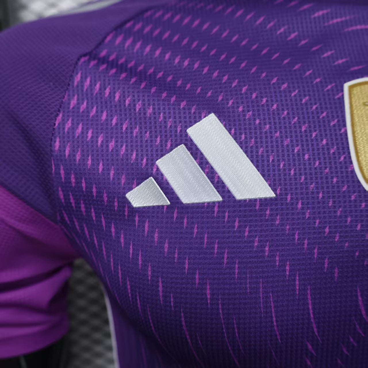 2025/2026 Player Version Argentina Goalkeeper Purple