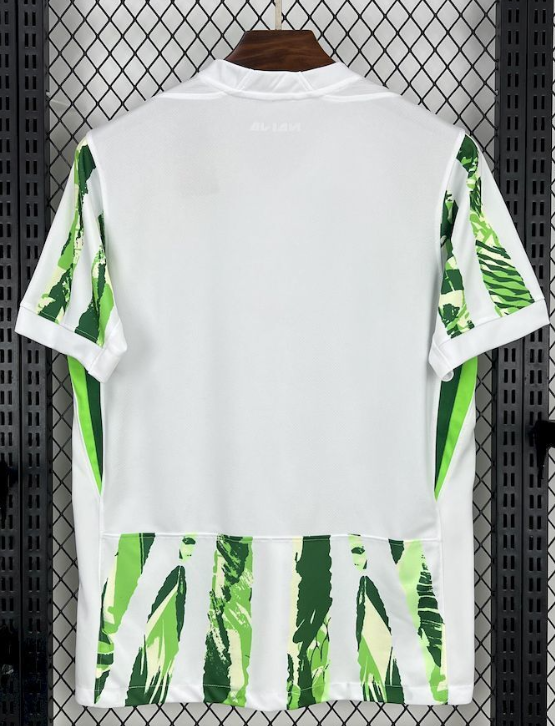 2025/2026 Nigeria National Team Home