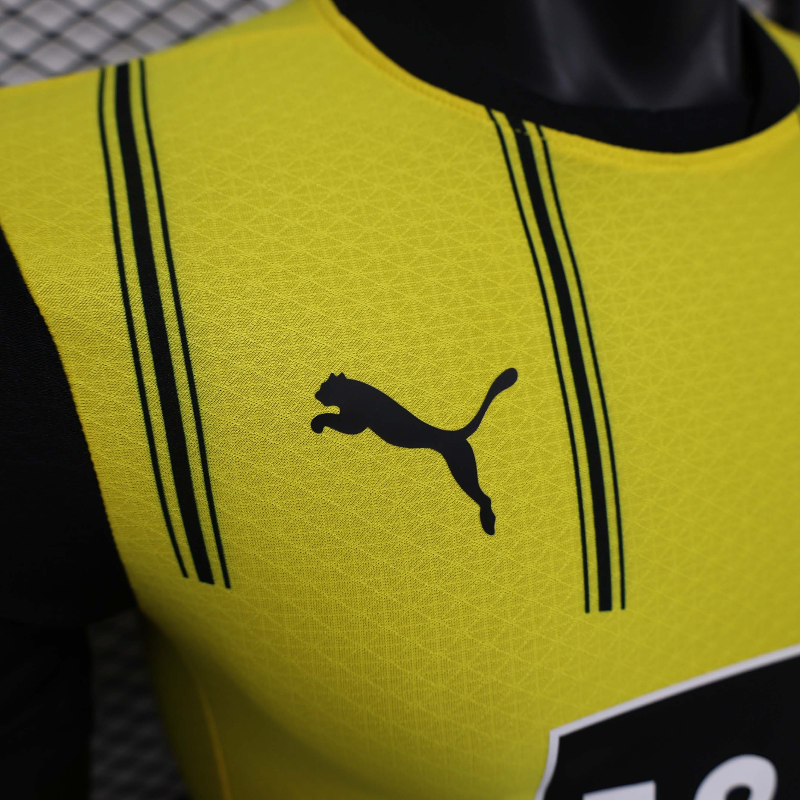 2024/2025 Player Version Dortmund Home