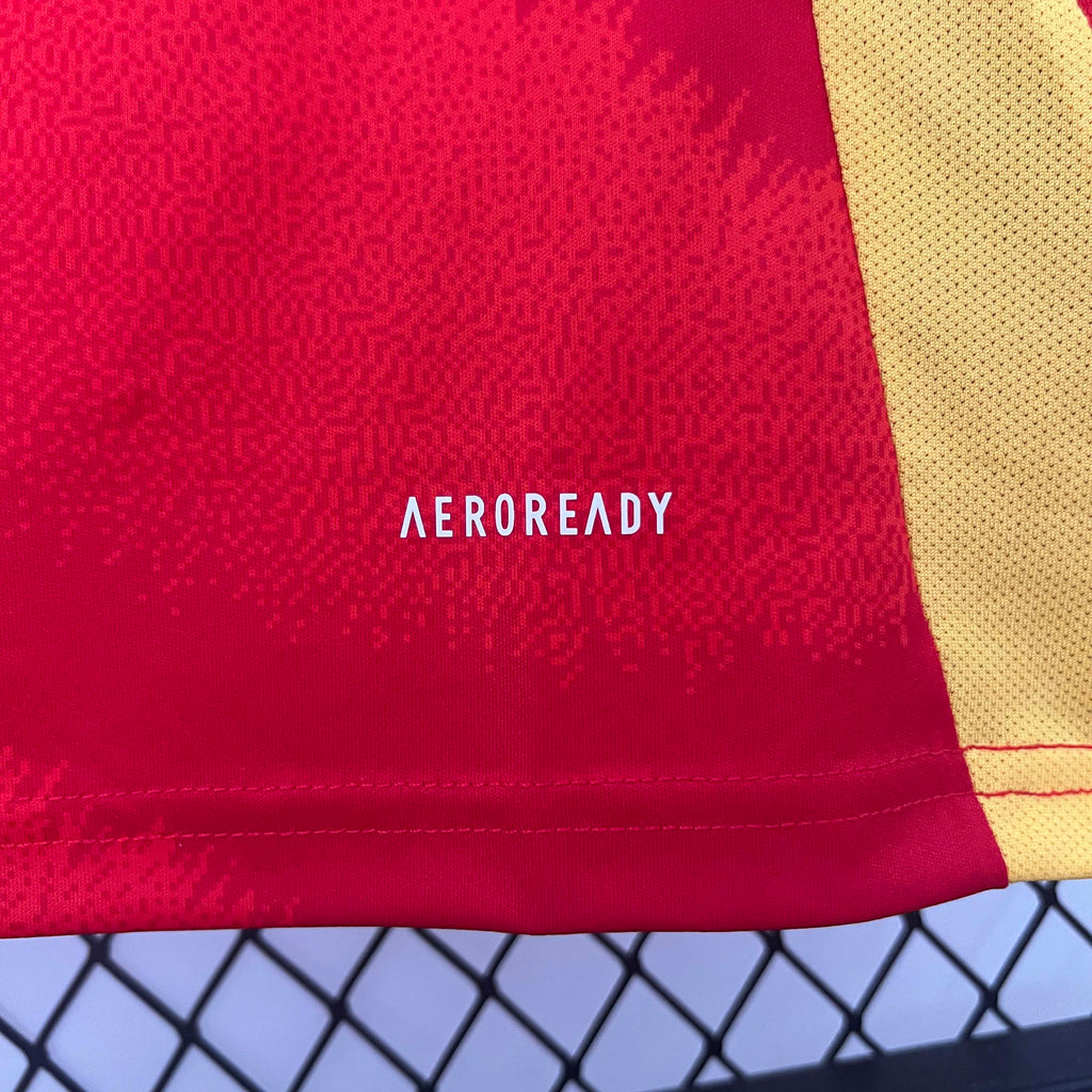 2024-2025 Spain Home