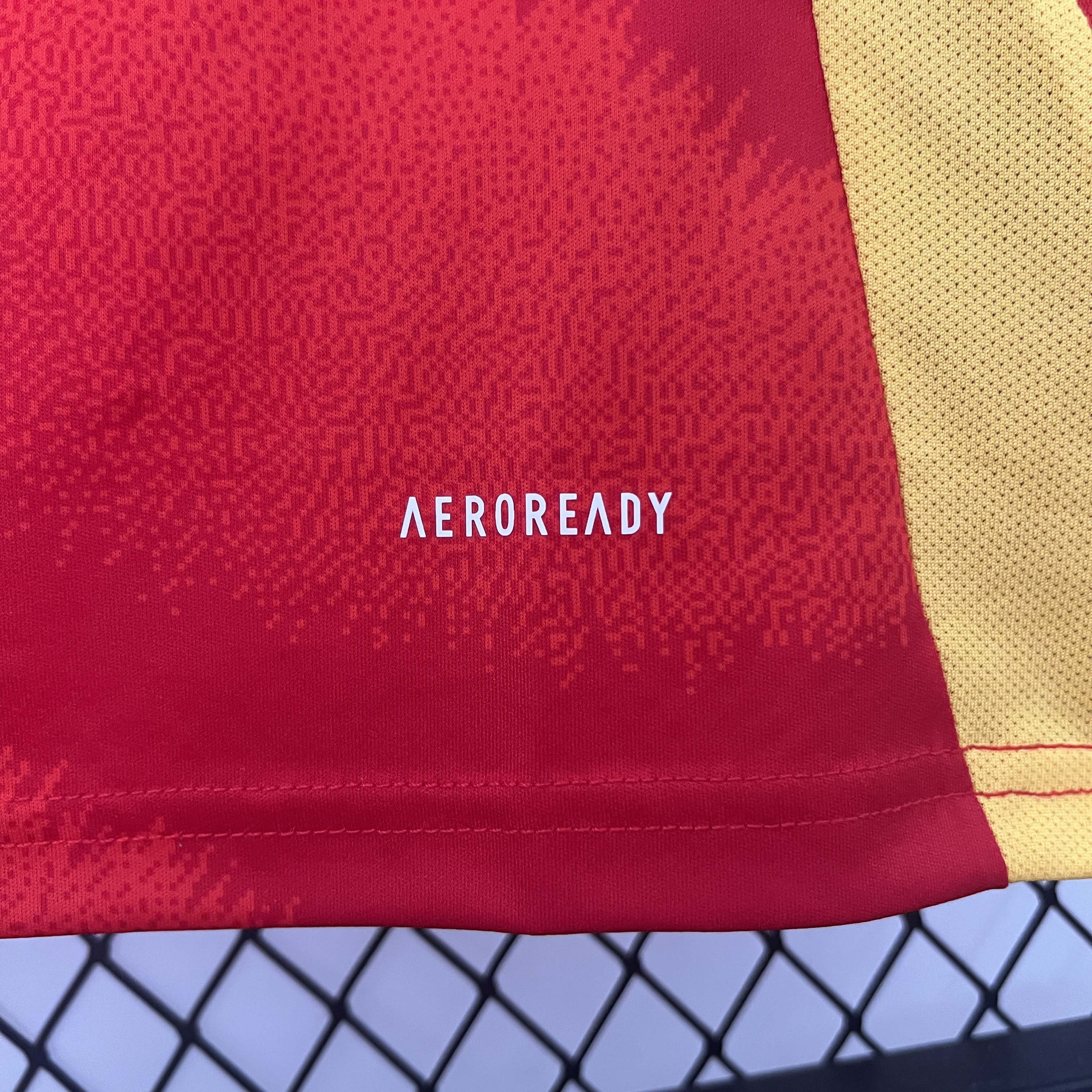 2024-2025 Spain Home