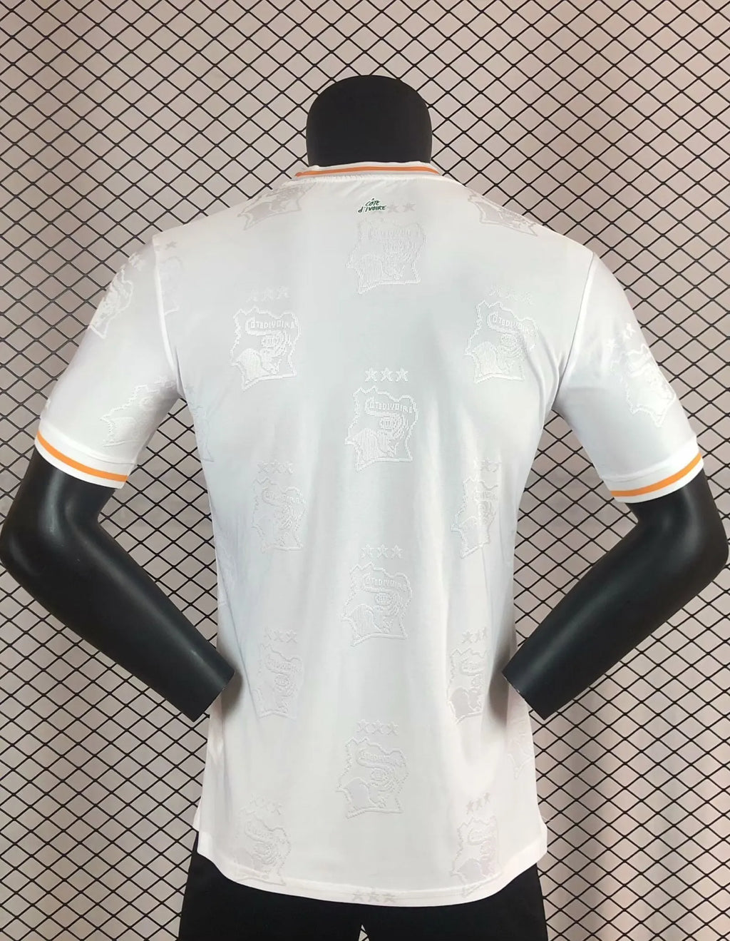 2025/2026 Player Version Lvory Coast National Team Away
